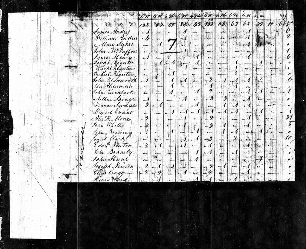 1800 Census New Hanover County Poplar Grove Plantation
